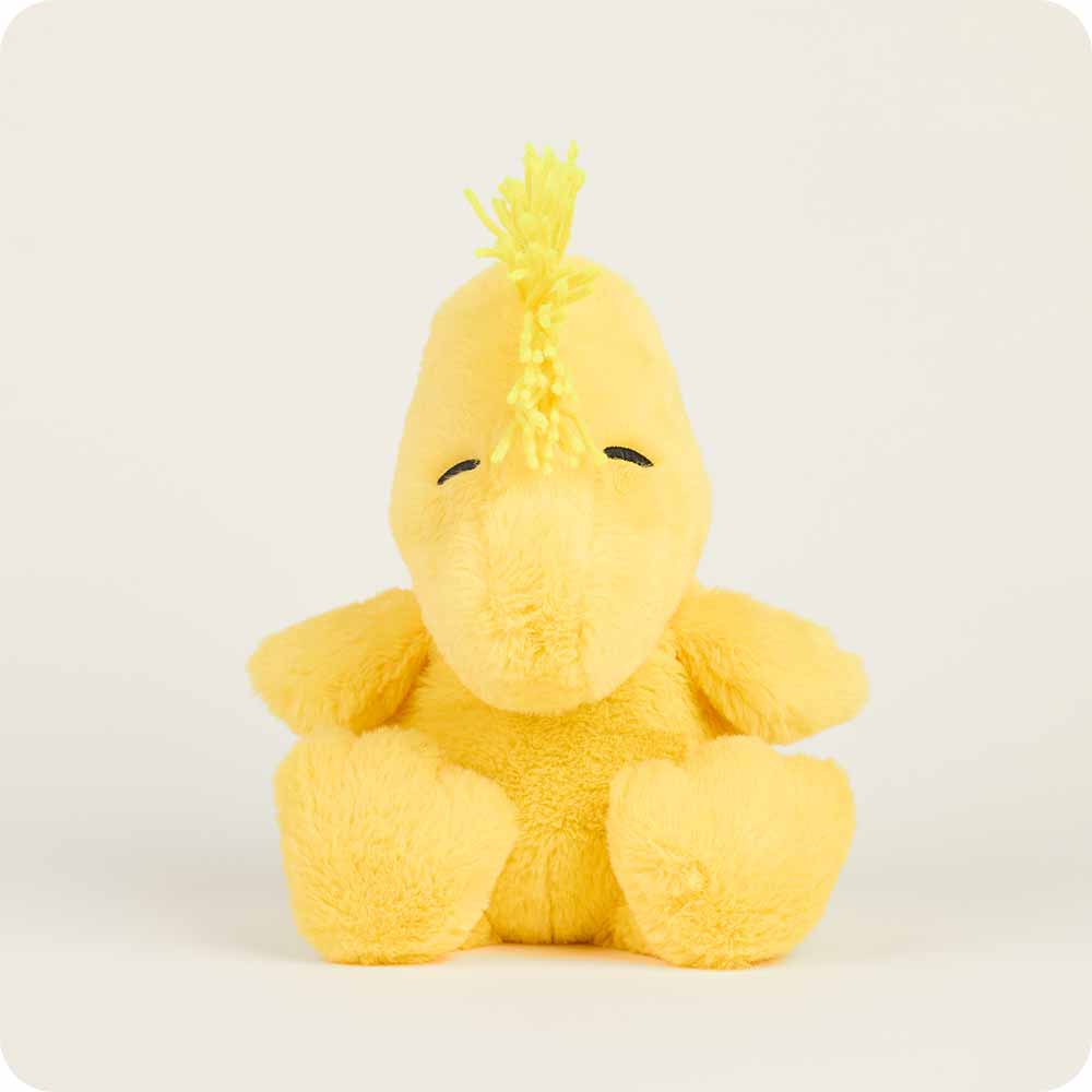 Peanuts™ Bundle - Image 5