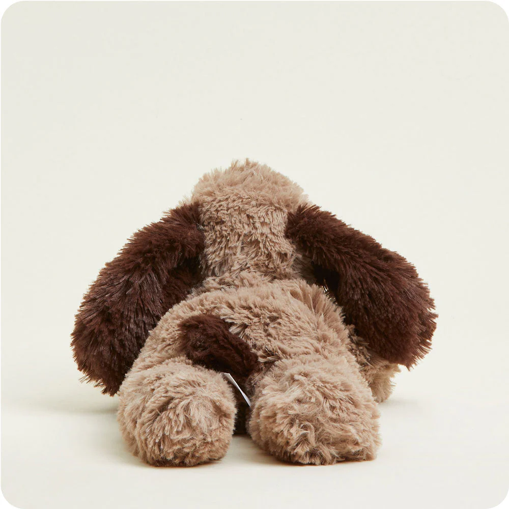 Brown Dog Warmies - Image 7