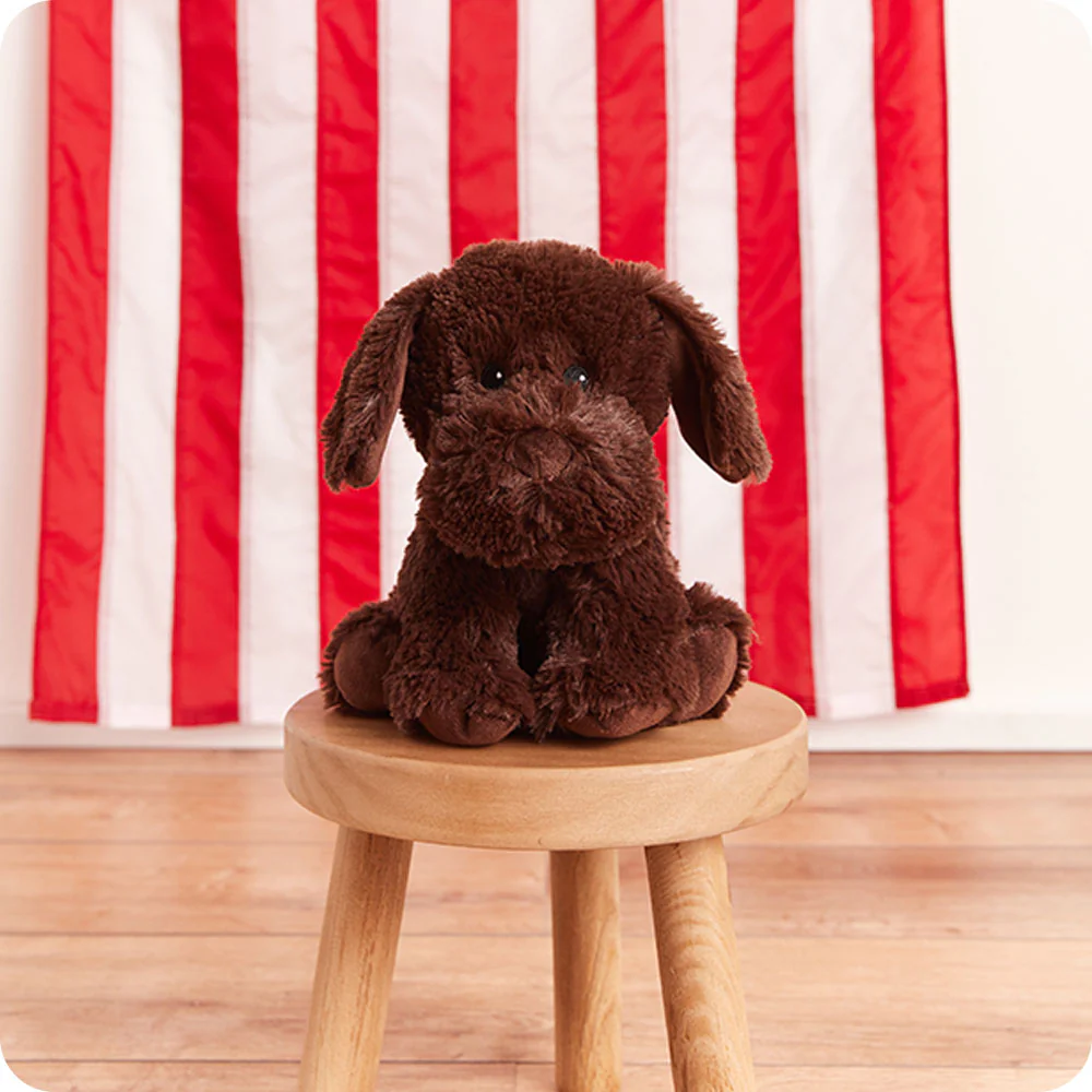 Chocolate Labrador Warmies - Image 2