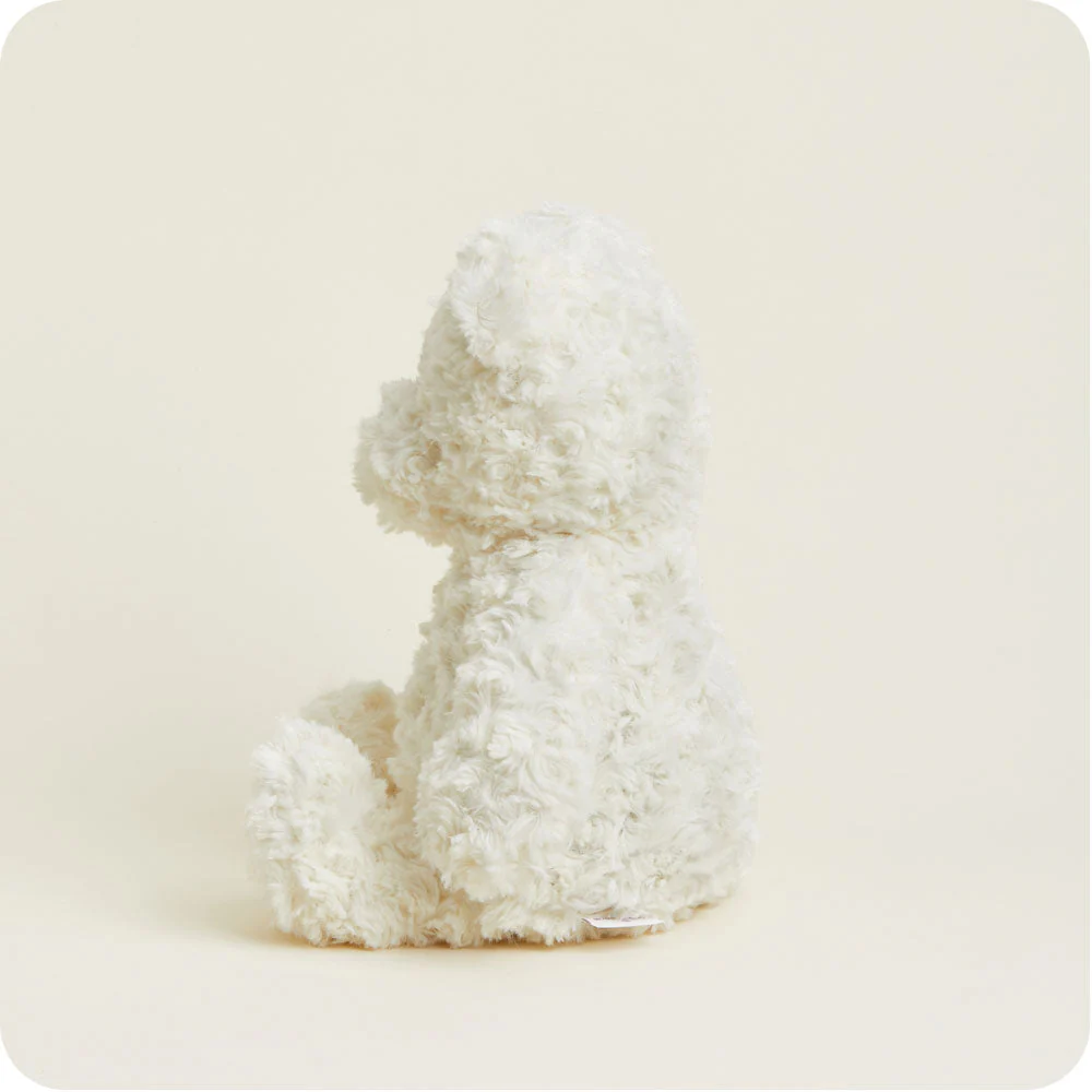 Cream Curly Bear Warmies - Image 6