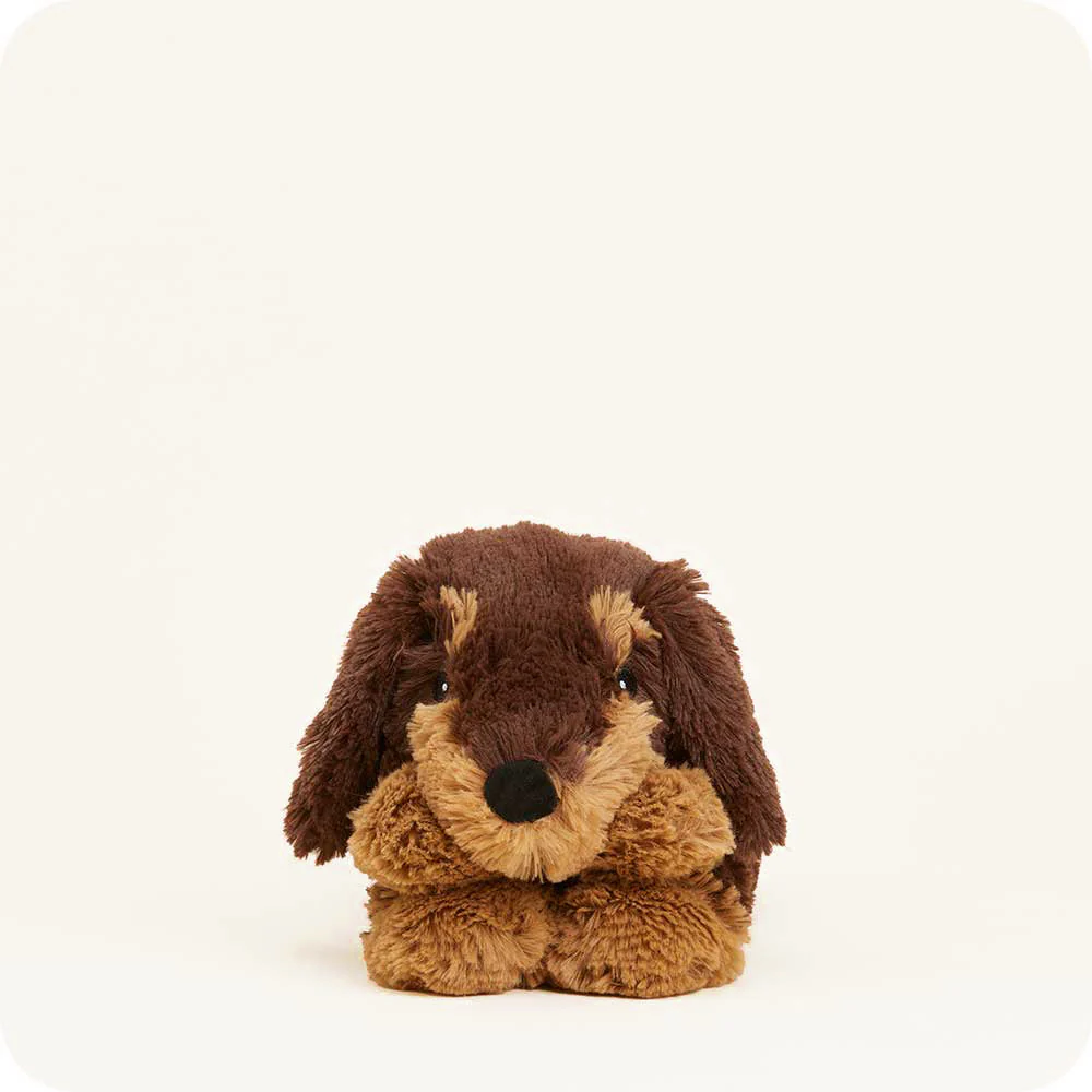 Dachshund Warmies Wrap - Image 4