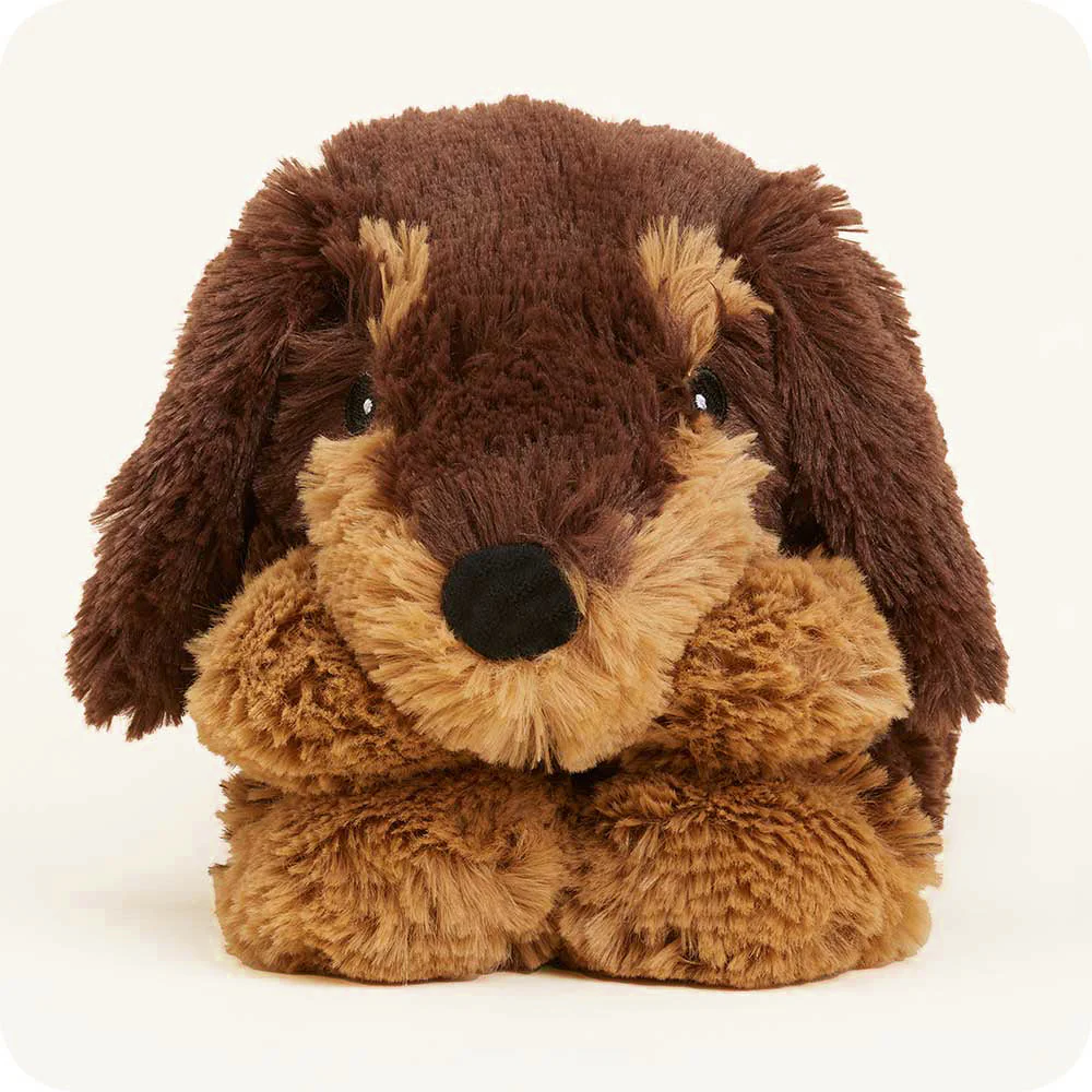 Dachshund Warmies Wrap - Image 5